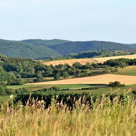 Tatil Evi In Eifel Near Forest And Mountains
