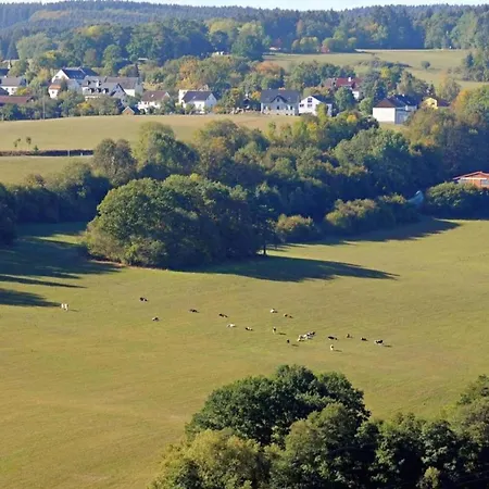 In Eifel Near Forest And Mountains Tatil Evi *
