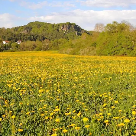 In Eifel Near Forest And Mountains Tatil Evi