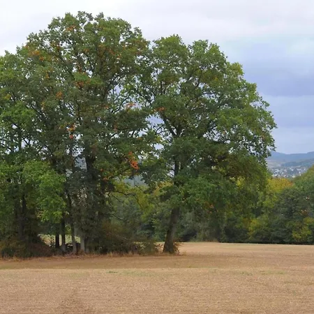 בית נופש In Eifel Near Forest And Mountains Hinterhausen