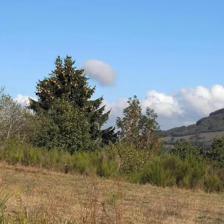 Tatil Evi In Eifel Near Forest And Mountains *
