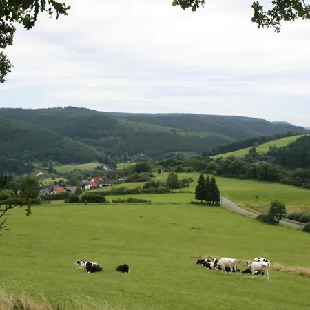 In Eifel Near Forest And Mountains Hinterhausen