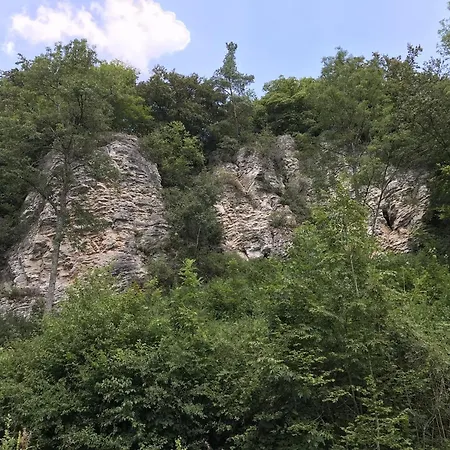 In Eifel Near Forest And Mountains *